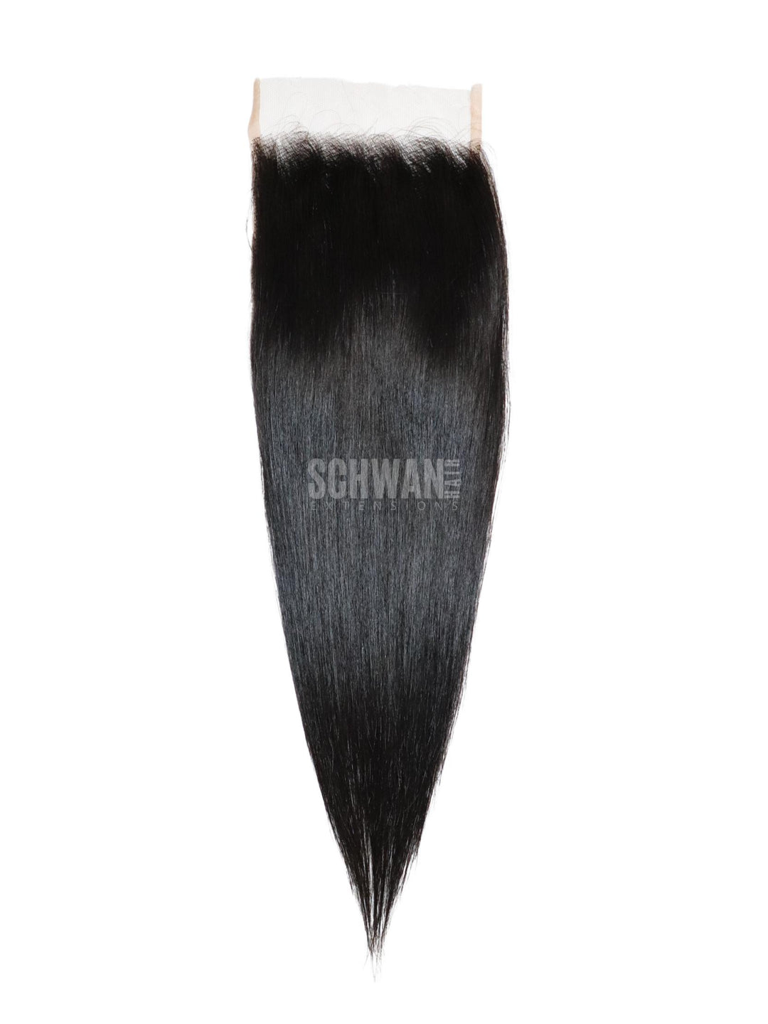 Raw Vietnamese Straight Hair Closure