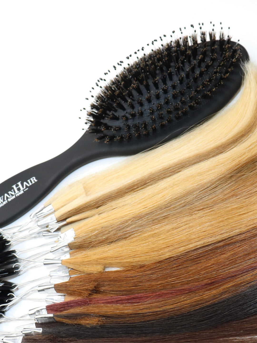 Smooth & Shine Brush by Schwan Hair 